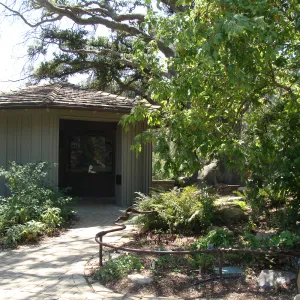 Meadow pond, Information Kiosk, SBBG 2 years after the Jesusita Fire
