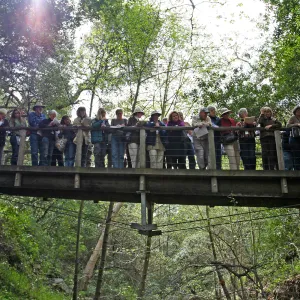 SBBG Docents on the Campbell Bridge, view of bridge span across Mission Creek