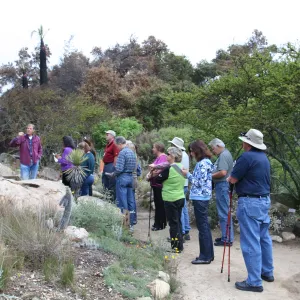Docent Graduation and Fire Walk after the Jesusita Fire