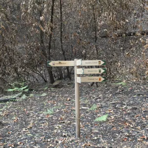 SBBG Fire Walk in the Garden, one month after Jesusita Fire, directional signage in the Canyon 