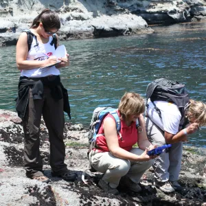conducting marine research, TEAWET, Santa Cruz Island field trip, 2009