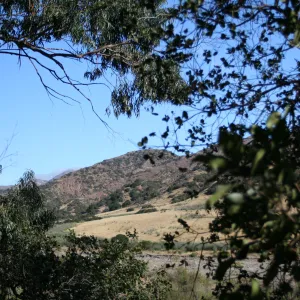 TEAWET, Santa Cruz Island field trip, 2009