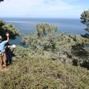 Steve Junak, Santa Rosa Island, SBBG field trip
