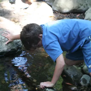 exploring Mission Creek, SBBG Summer Nature Camp, 2006