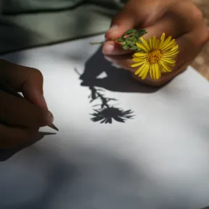 drawing flowers, SBBG Summer Nature Camp, 2006
