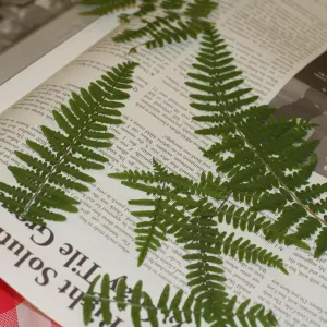 pressed plant and flower bookmark crafts, SBBG Summer Nature Camp, 2006