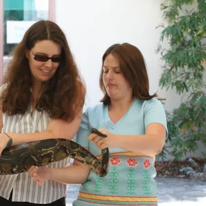 python boa constrictor, SBBG Summer Nature Camp, 2006