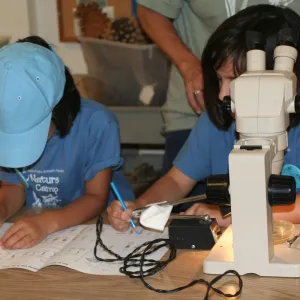 using microscopes in the Arroyo Room, SBBG Summer Nature Camp, 2007