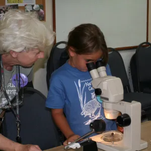 using microscopes in the Arroyo Room, SBBG Summer Nature Camp, 2008
