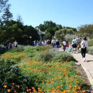 SBBG Egg Hunt, 2009