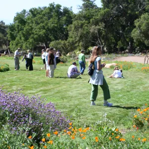 SBBG Egg Hunt, 2009