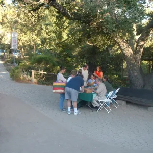 reception desk, Great Garden Nature Night, SBBG, 2003