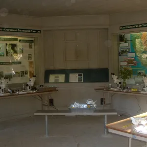 interpretive display tables in the Information Kiosk, Great Garden Nature Night, SBBG, 2003