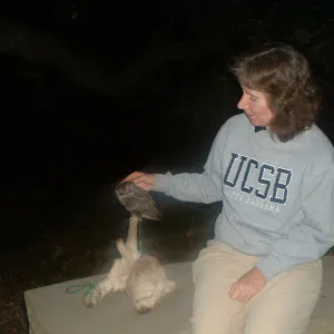 owl, Great Garden Nature Night, SBBG, 2003