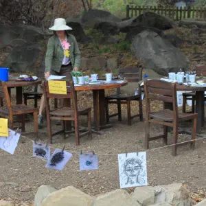 charcoal drawings activity, Art from Ashes event, SBBG
