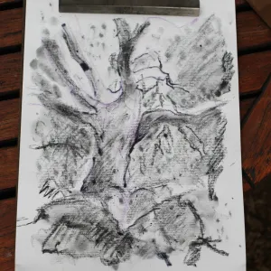 charcoal drawings activity, Art from Ashes event, SBBG