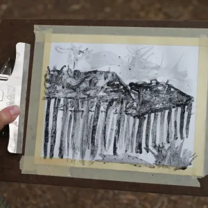 charcoal drawings activity, Art from Ashes event, SBBG