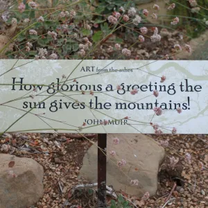John Muir quotation, Art from the Ashes event, SBBG