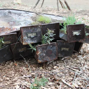 file cabinet planter, art exhibit, Art from the Ashes event, SBBG