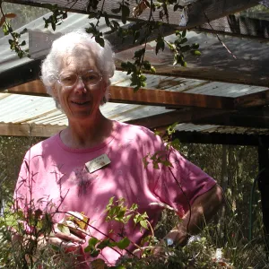 Betty Gerig, SBBG Docent