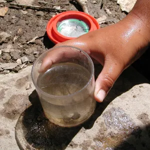 aquatic life from Mission Creek, SBBG Summer Nature Camp, 2002