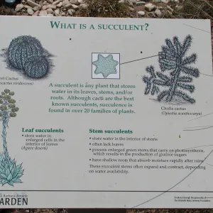 What is a Succulent?, sign, SBBG Desert Section