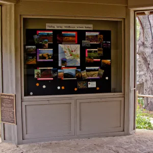 2011 'Finding Spring Wildflowers in Santa Barbara', Information Kiosk window display