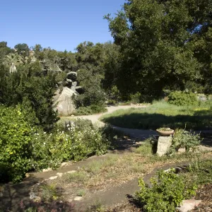 view to Blaksley Boulder from Conservation Display, SBBG, 2 years after the Jesusita Fire