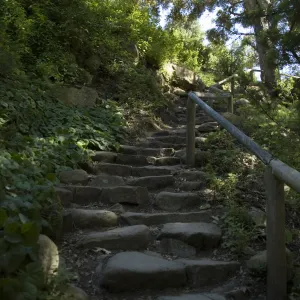 Indian Steps, Redwood Section, SBBG, 2 years after the Jesusita Fire