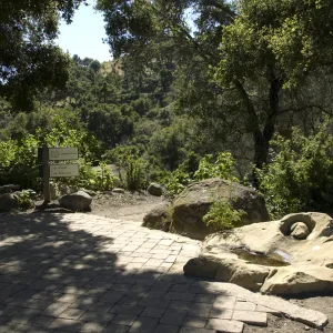 dog fountain, dog water basin, Meadow Oaks, top of Campbell Trail staircase at the canyon rim, SBBG, 2 years after the Jesusita Fire