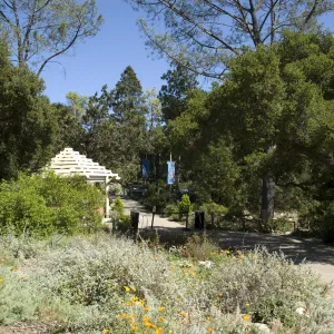 Garden entrance kiosk, SBBG, 2 years after the Jesusita Fire