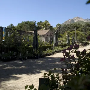 Courtyard view to the mountains, SBBG, La Cumbre Peak, 2 years after the Jesusita Fire