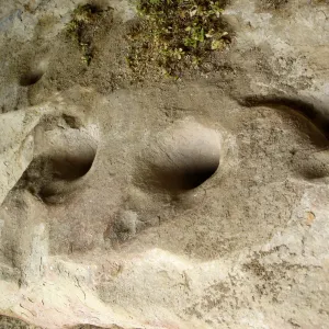 Wagon Caves rock shelter, Fort Hunter Liggett, SBBG Research and Conservation staff field trip, 2006