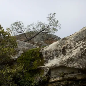 Wagon Caves rock shelter, Fort Hunter Liggett, SBBG Research and Conservation staff field trip, 2006