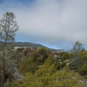 view from top of Wagon Caves rock shelter, Fort Hunter Liggett, SBBG Research and Conservation staff field trip, 2006