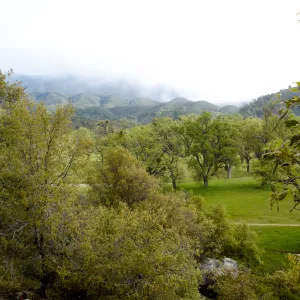 oak woodland, view from top of Wagon Caves rock shelter, Fort Hunter Liggett, SBBG Research and Conservation staff field trip, 2006