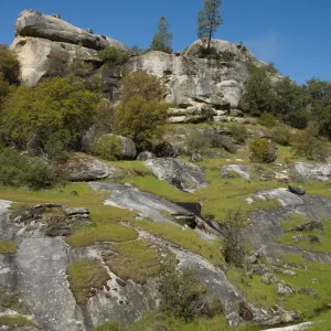 Wagon Caves rock shelter, Fort Hunter Liggett, SBBG Research and Conservation staff field trip, 2006