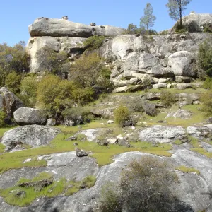 Wagon Caves rock shelter, Fort Hunter Liggett, SBBG Research and Conservation staff field trip, 2006