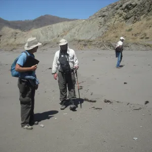 Christy Beach, Steve Junak and Chuck Rennie, SBBG Field Trip to Santa Cruz Island, 2011