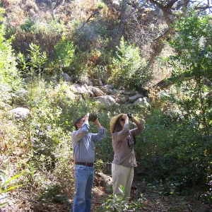 SBBG Community Free Day, visitors exploring the Canyon Trail, birdwatching with binoculars