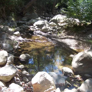 SBBG Community Free Day, pool in Mission Creek