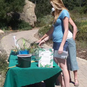 SBBG Community Free Day, plant exploration demonstration table