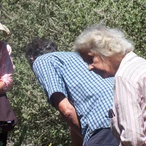 SBBG Community Free Day, Docent Tour