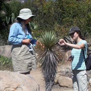 SBBG Community Free Day, Docent Tour, yucca