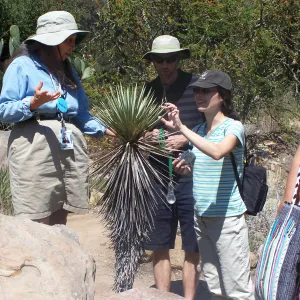 SBBG Community Free Day, Docent Tour, yucca