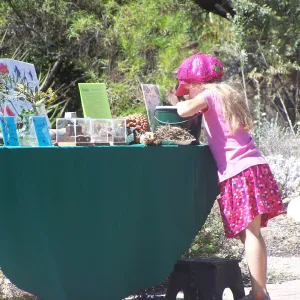 SBBG Community Free Day, girl at the plant exploration demonstration table