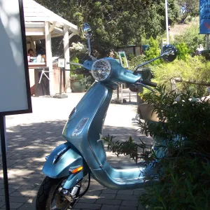 SBBG Community Free Day, Vespa