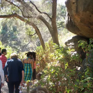 SBBG Community Free Day, Docent tour on the canyon Trail