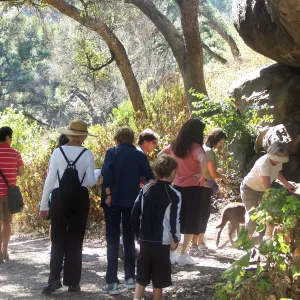 SBBG Community Free Day, Docent tour on the canyon Trail
