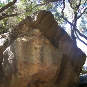 SBBG Community Free Day, boulder on the Canyon Trail